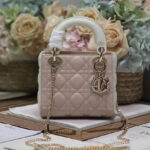 Christian Dior Mini Lady Dior Bag